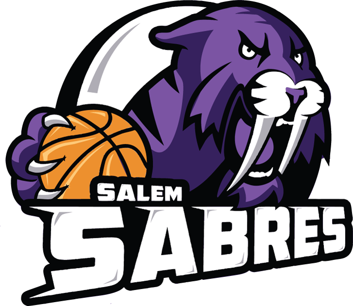 Salem Sabres 2013-Pres Primary Logo iron on heat transfer
